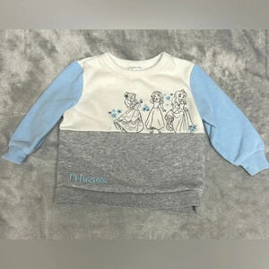 Disney - Princess sweatshirt/sweater. Size 9 months